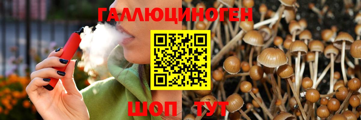Псилоцибиновые грибы ЛСД  Вход с VPN  Галлюциногенные грибы Magic Shrooms  Вологда 